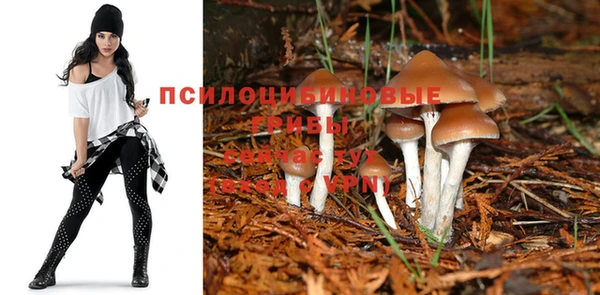каннабис Белокуриха