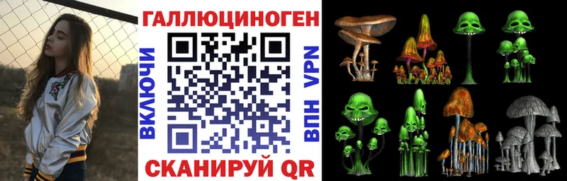 Псилоцибиновые грибы Psilocybine cubensis  хочу наркоту  ссылка на мегу ссылки  Павловск 