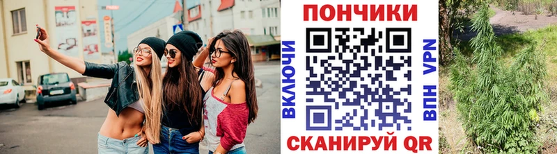 Каннабис ГИДРОПОН  Павловск 